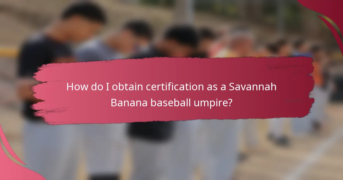 How do I obtain certification as a Savannah Banana baseball umpire?
