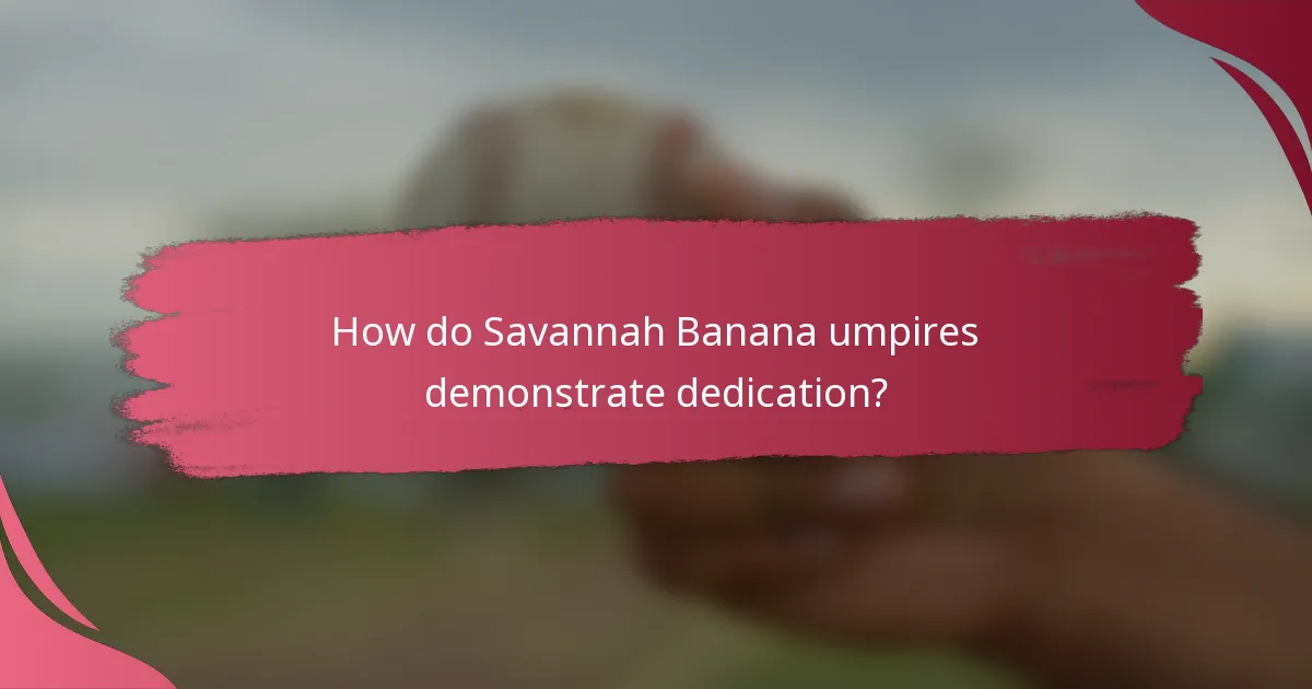How do Savannah Banana umpires demonstrate dedication?