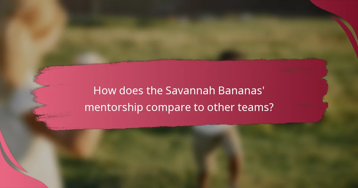 How does the Savannah Bananas' mentorship compare to other teams?